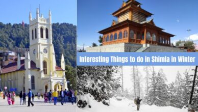 Interestinng thisngs to do in shimla.