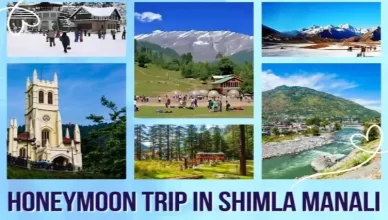 Honeymoon trip in Shimla Manali