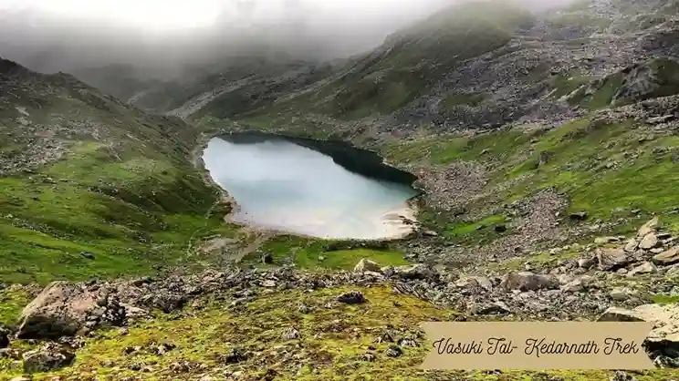 Vasuki Tal Kedaranath Yatra Trek